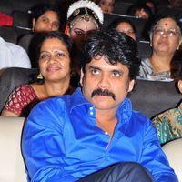 Nagarjuna Akkineni - Telugu Stars at 17th International Childrens Film Festival | Picture 124613